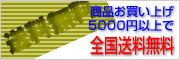 5000~ȏ̂ő